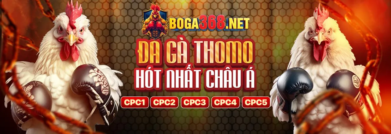 Đá gà trực tuyến mm8822 với các chiến kê dũng mãnh